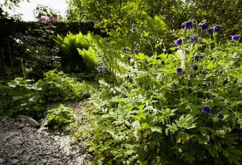 标准间, Villa Rosa