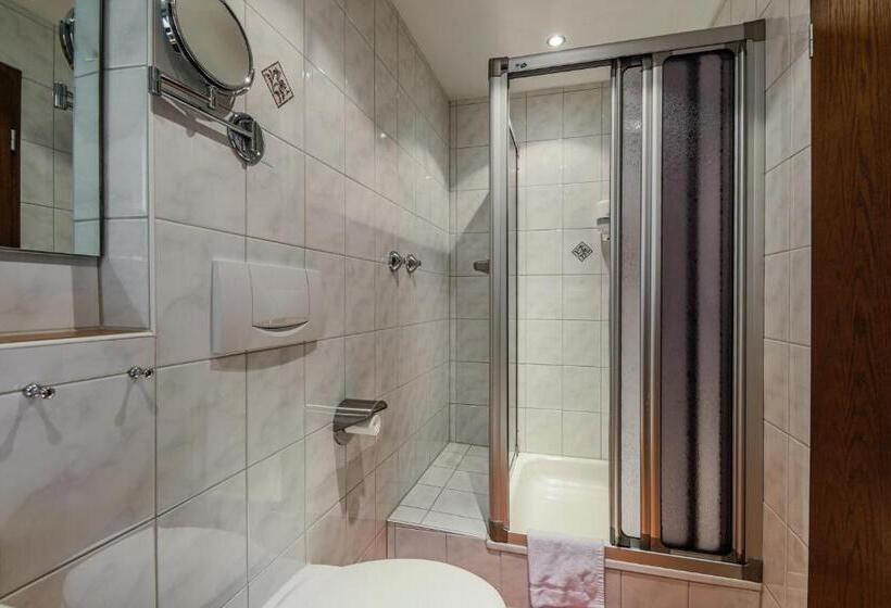 스탠다드 싱글 룸, Alpenhotel Fischer 4 Sterne   Adults Only