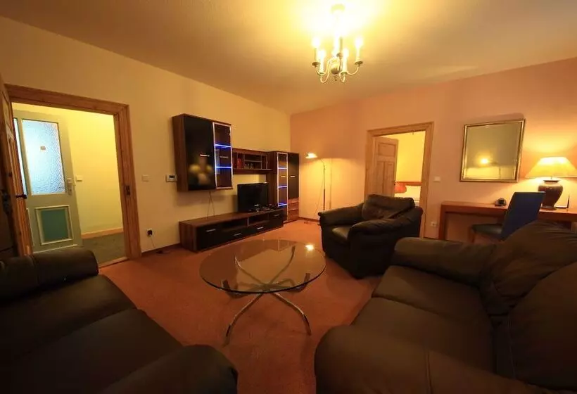 １ベッドルームアパートメント, Altstadthotel Fürth