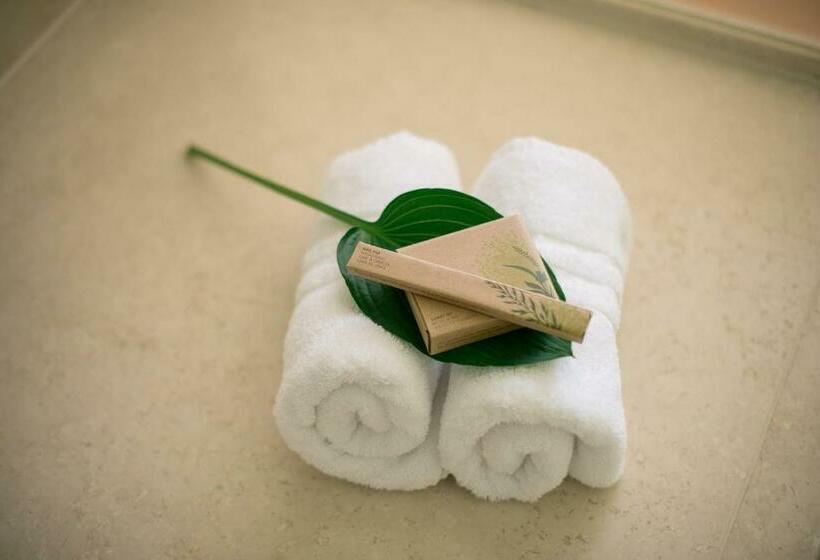 스탠다드 싱글 룸, Bio Thermalhotel Falkenhof