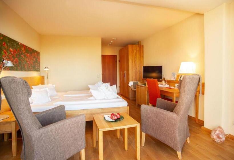 스탠다드 룸, Bio Thermalhotel Falkenhof