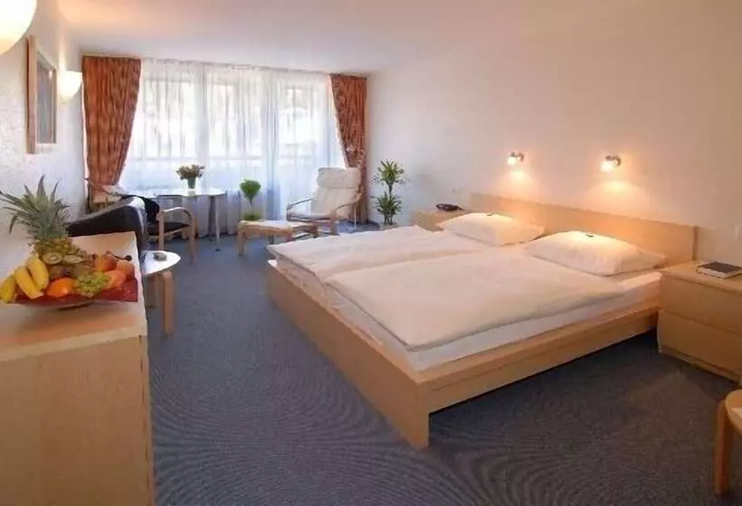 اتاق استاندارد یک نفره, Hak Hotel Am Klostersee