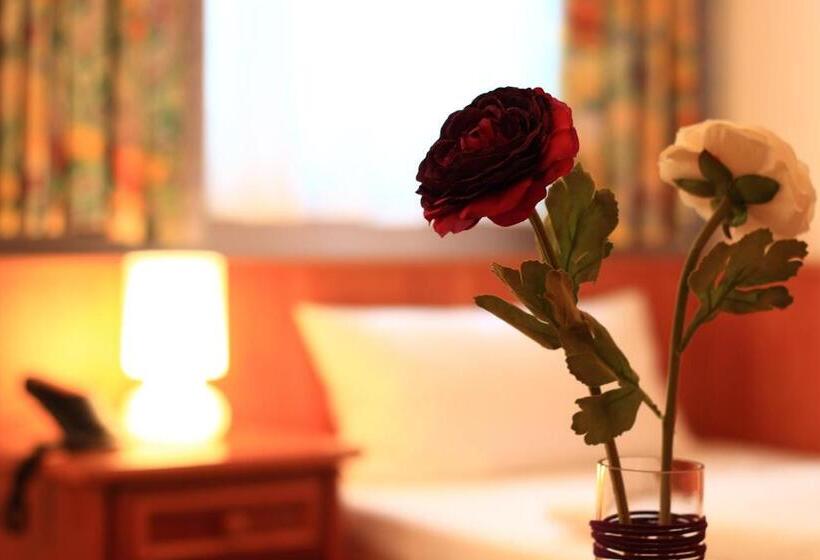 シングルベーシックルーム, Altstadthotel Fürth