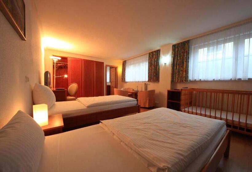 Апартаменты 1 Спальня, Altstadthotel Fürth