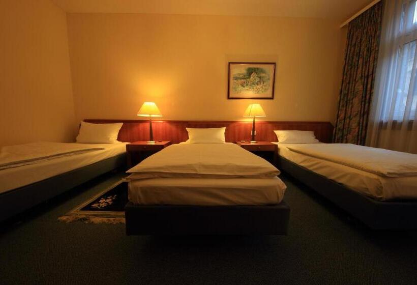 1ベッドルームのコンフォーとアパートメント, Altstadthotel Fürth