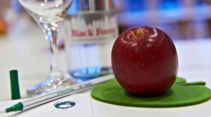 חדר לארבעה סטנדרטי עם נוף לגינה, Am Hofgarten