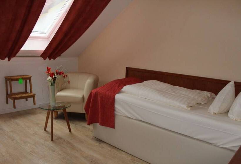 غرفة قياسية فردية, Aradorcity