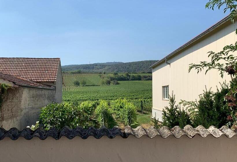 Номер Стандарт, Bettelhaus