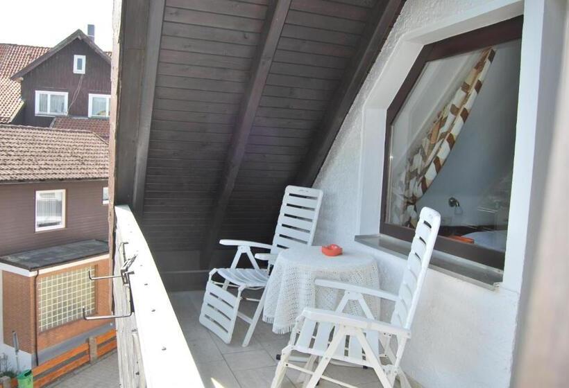 Номер Стандарт Индивидуальный с Балконом, Braunlage