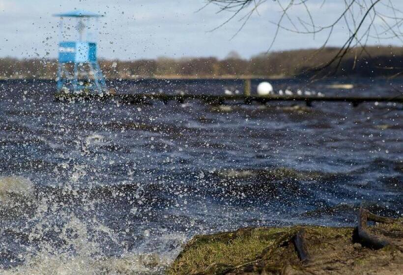 高级单人间, Hansens Haus Am Meer