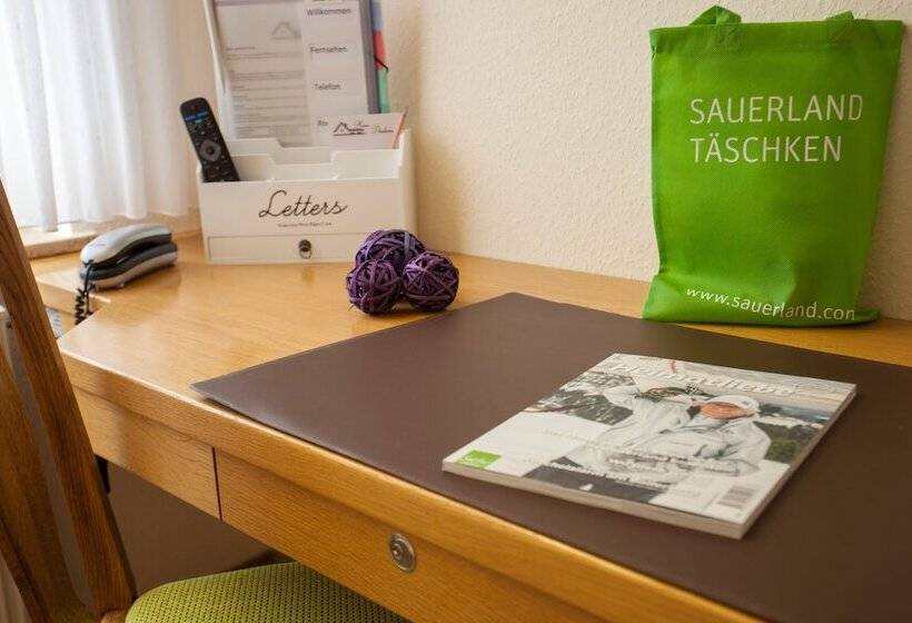 标准单人间, Haus Andrea