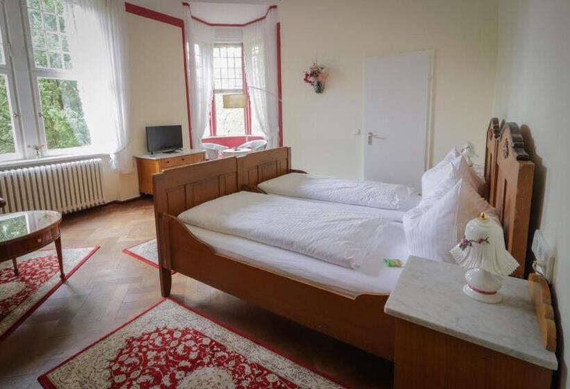 غرفة قياسية, Kurvilla Am Park