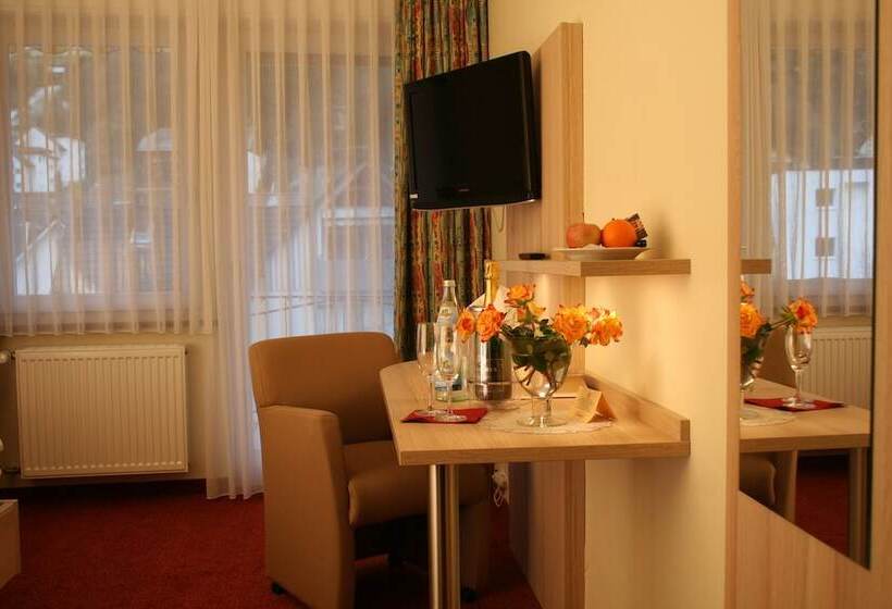 스탠다드 싱글 룸, Sonnenhof