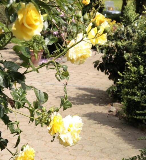 スタンダードルーム, Villa Verde