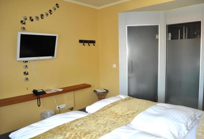 Номер Стандарт, Viva Sky