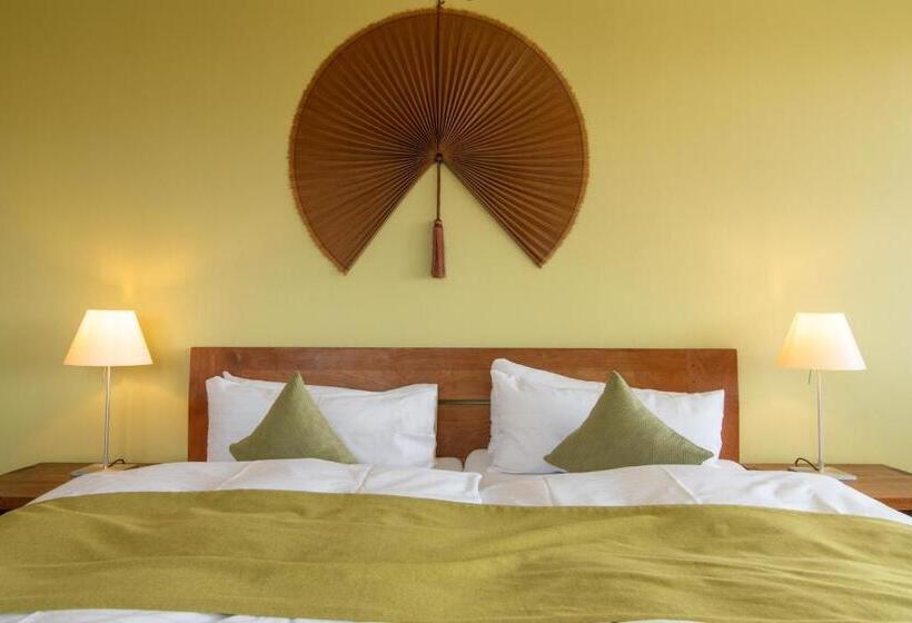 Номер Superior, Viva Sky