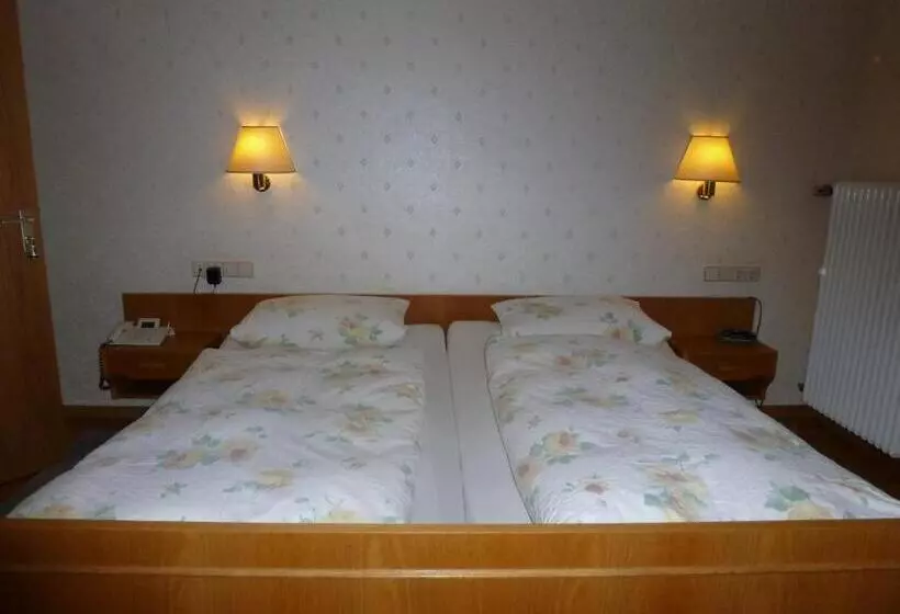 Standard Kolmen Hengen Huone, Waldschlösschen