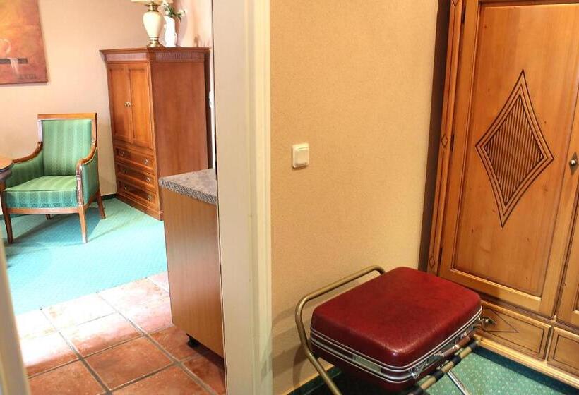 带1个卧室的公寓, Parkhotel Fischer