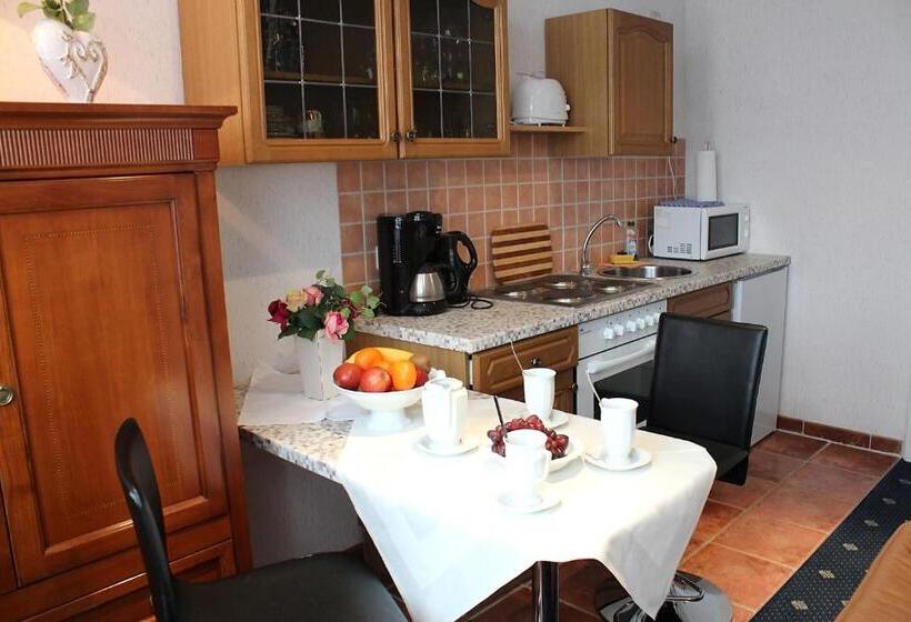 带1个卧室的公寓, Parkhotel Fischer