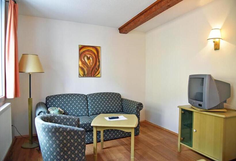 1ベッドルームアパートメント, Altstadthotel Garni Schlundhaus & Rautenkranz
