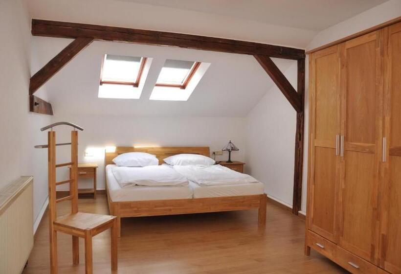 テラス付きスタンダードワンルーム, Altstadthotel Garni Schlundhaus & Rautenkranz