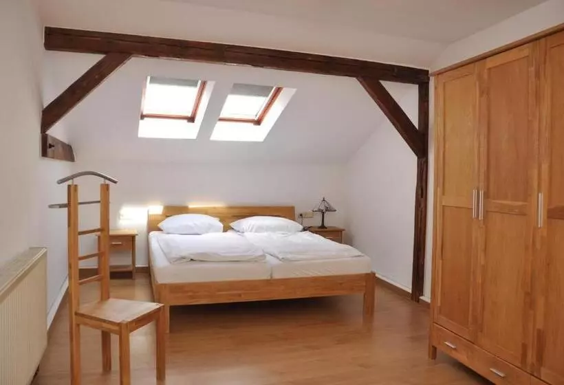 テラス付きスタンダードワンルーム, Altstadthotel Garni Schlundhaus & Rautenkranz
