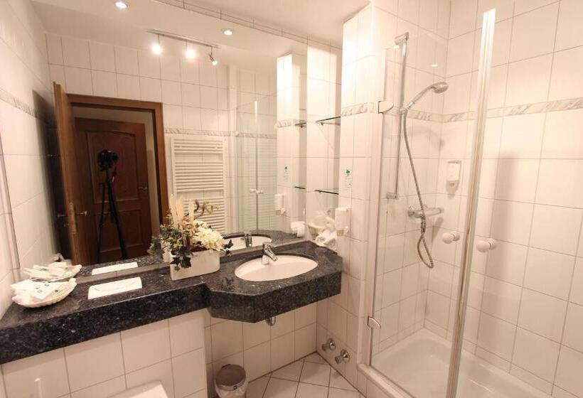 컴포트 싱글 룸, Akzent Hotel Jonathan