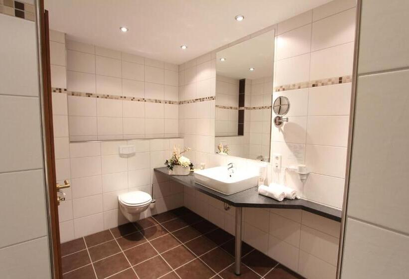 컴포트 룸, Akzent Hotel Jonathan