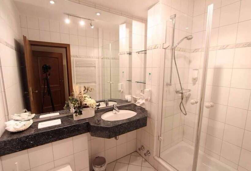 컴포트 싱글 룸, Akzent Hotel Jonathan