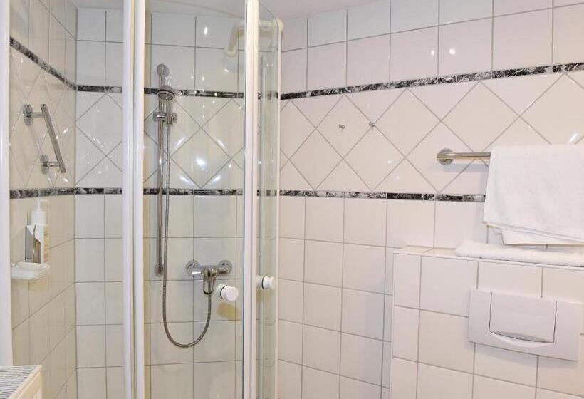 싱글 디럭스 룸, Aslan Kurpark Villa Olsberg