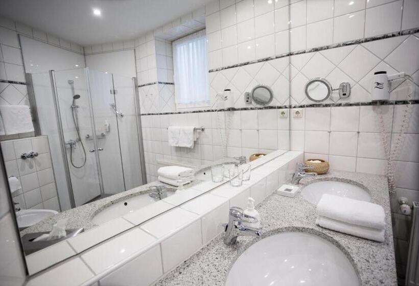 싱글 디럭스 룸, Aslan Kurpark Villa Olsberg