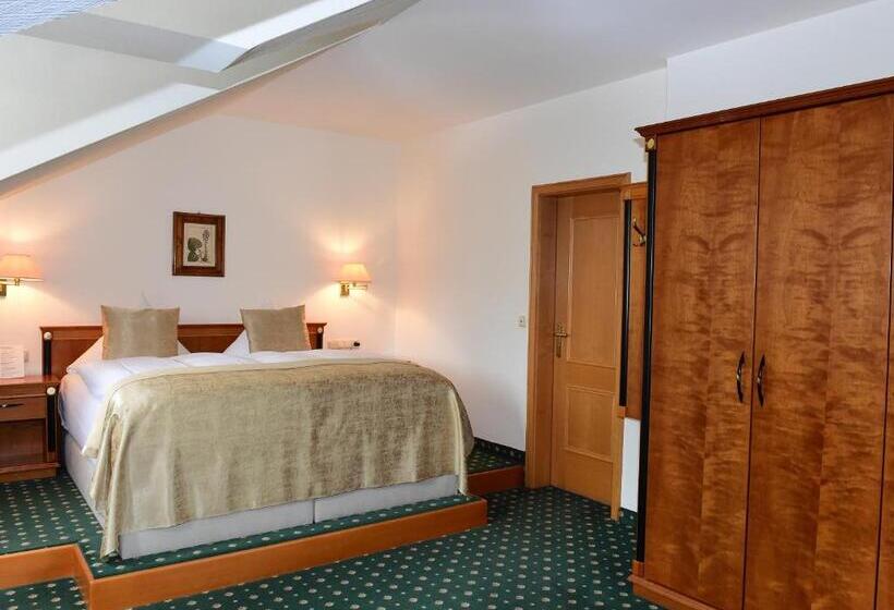 디럭스 룸, Aslan Kurpark Villa Olsberg