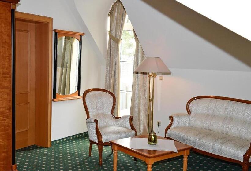 디럭스 룸, Aslan Kurpark Villa Olsberg