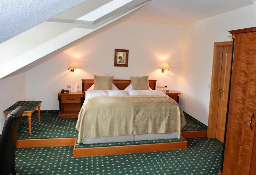 Номер Deluxe, Aslan Kurpark Villa Olsberg