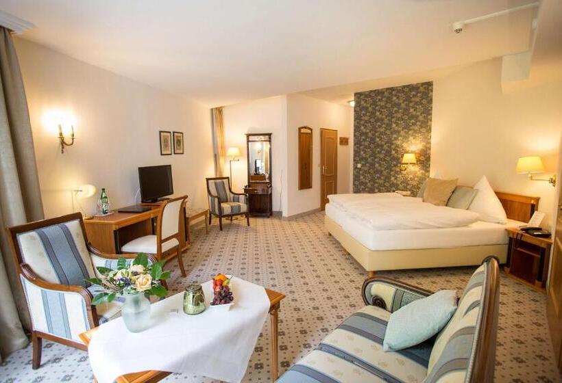 디럭스 룸, Aslan Kurpark Villa Olsberg