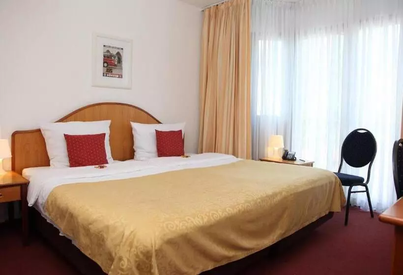 اتاق استاندارد یک نفره, Cityhotel Amadeus