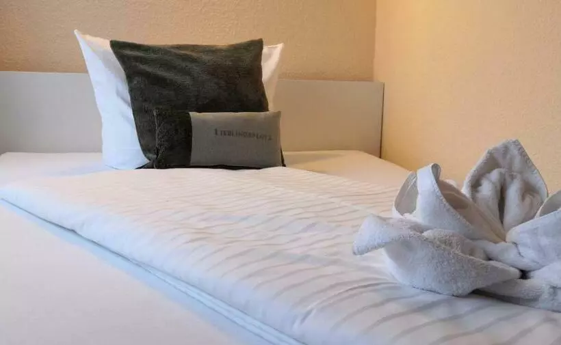 Standard Yhden Hengen Huone, Harzhotel Güntersberge