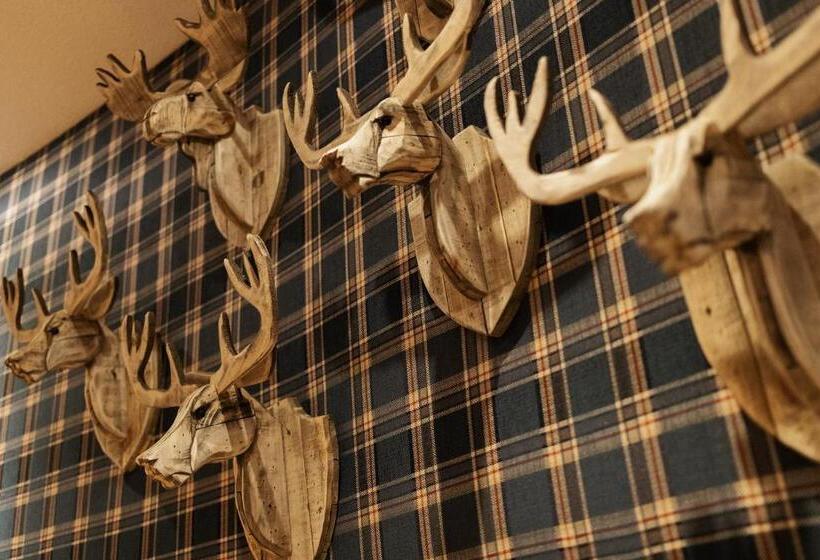 シングルベーシックルーム, Ahornhof