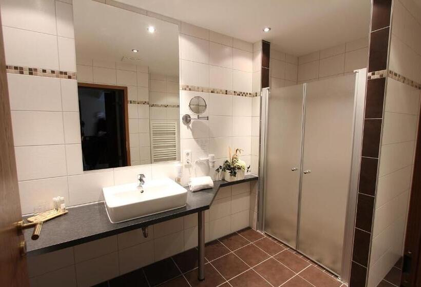 컴포트 룸, Akzent Hotel Jonathan