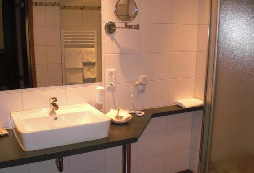 컴포트 룸, Akzent Hotel Jonathan