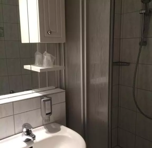 スタンダードシングルルーム, Central Hotel Troisdorf