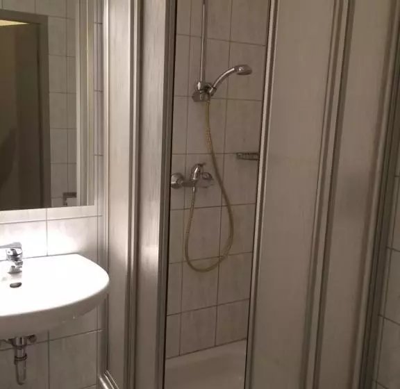 スタンダードシングルルーム, Central Hotel Troisdorf