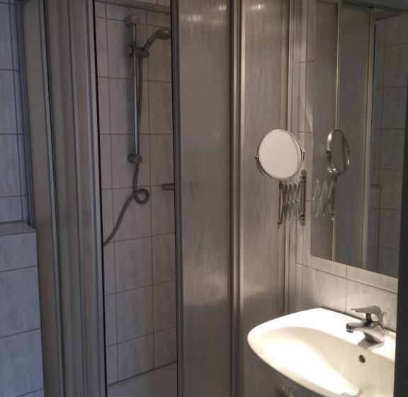 اتاق استاندارد یک نفره, Central Hotel Troisdorf