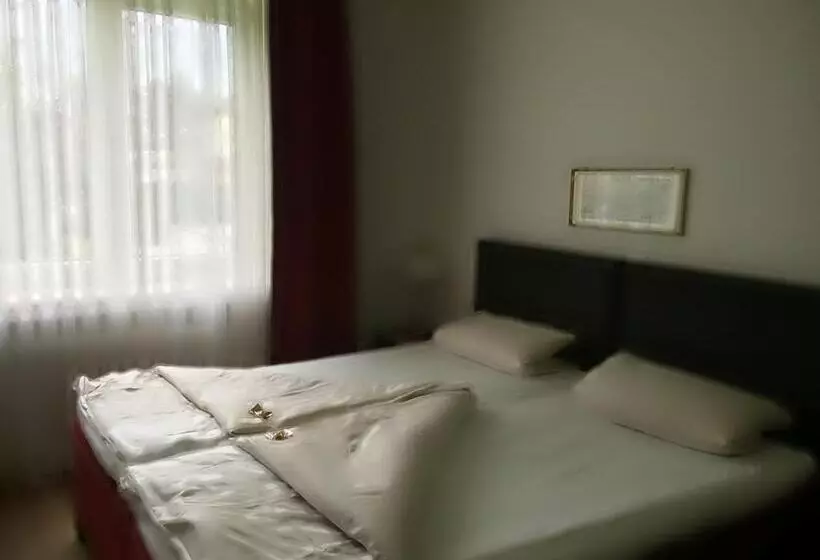 スタンダードルーム, Central Hotel Troisdorf