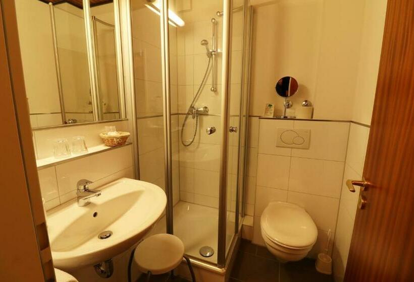 غرفة قياسية فردية, Central