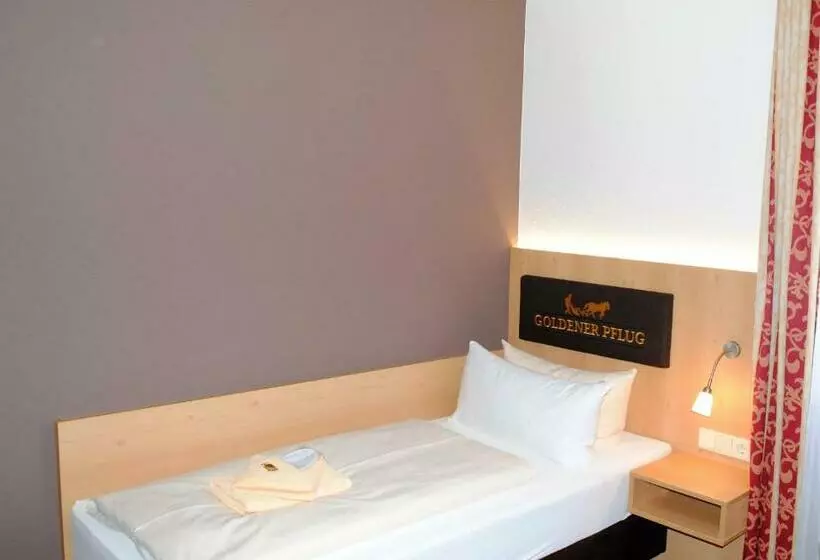 اتاق استاندارد یک نفره, Landgasthof Goldener Pflug