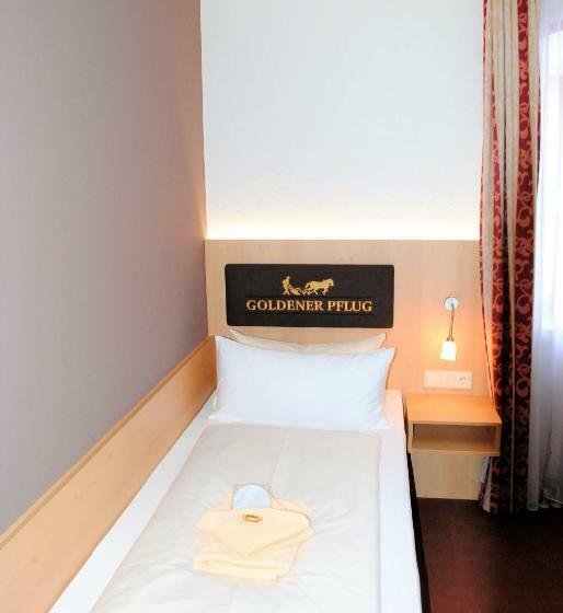 스탠다드 싱글 룸, Landgasthof Goldener Pflug