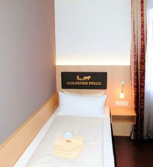 اتاق استاندارد یک نفره, Landgasthof Goldener Pflug