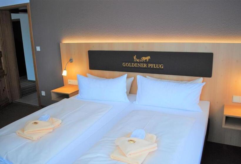 Номер Стандарт, Landgasthof Goldener Pflug