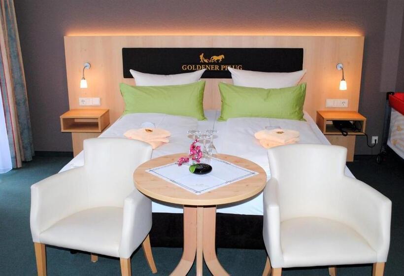 스탠다드 룸, Landgasthof Goldener Pflug